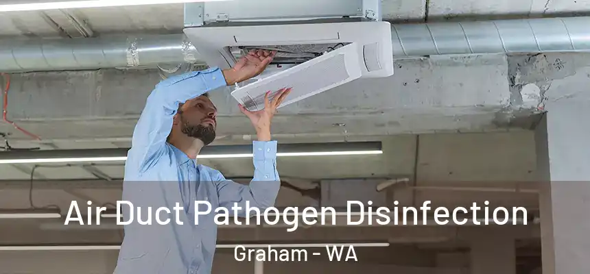 Air Duct Pathogen Disinfection Graham - WA
