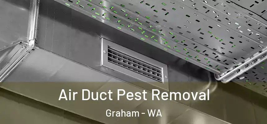 Air Duct Pest Removal Graham - WA