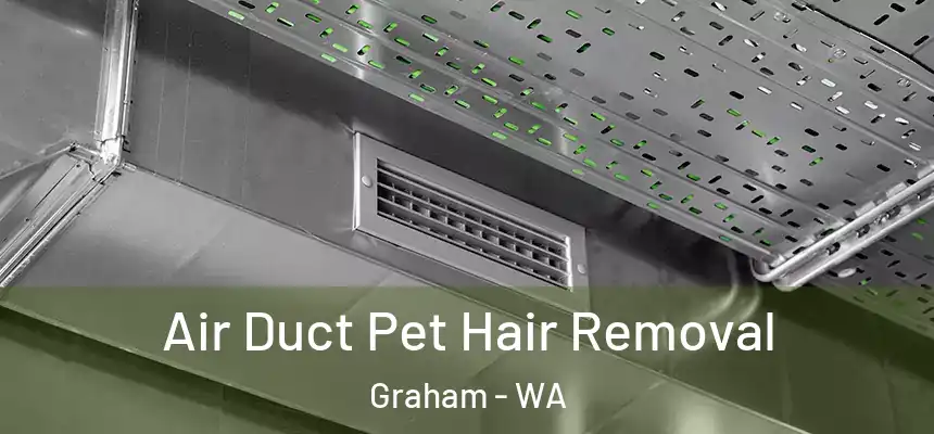 Air Duct Pet Hair Removal Graham - WA