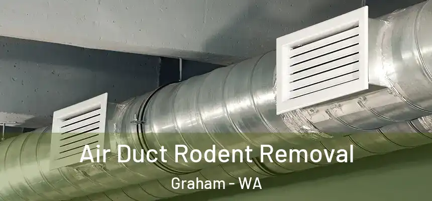  Air Duct Rodent Removal Graham - WA