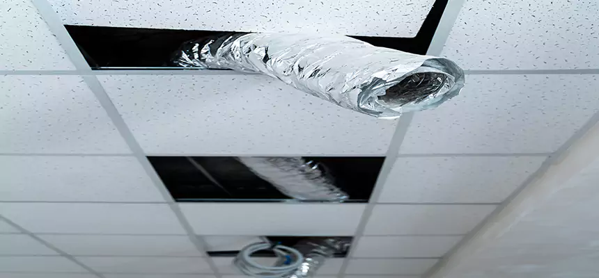 Our Air Duct Pet Hair Removal Services in Graham, WA