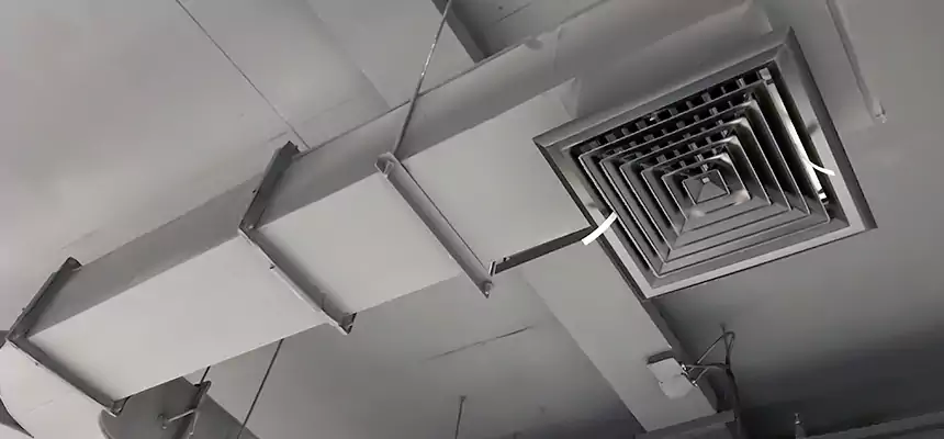 Restorative Allergy Relief Vent Cleaning – Coil, Blower & Housing Detail in Graham