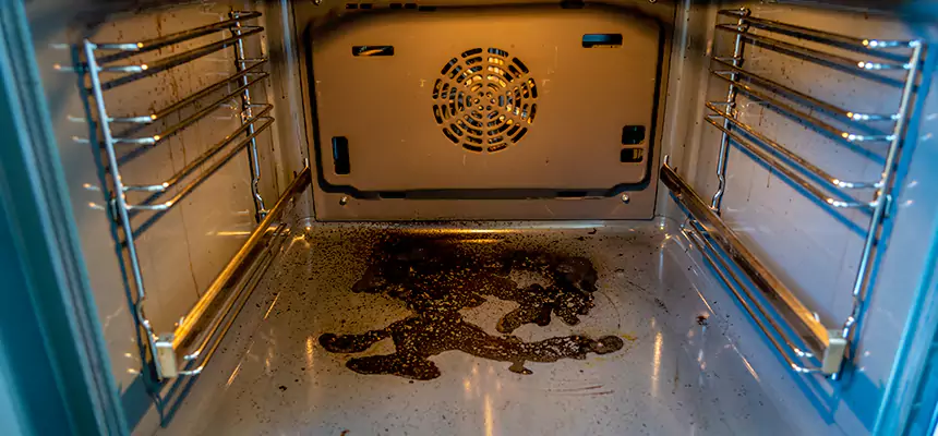 Our Dryer Vent Mold Cleaning Services in Graham, WA