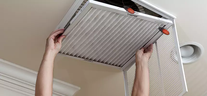 Our Insect Removal from Air Ducts Services in Graham, WA
