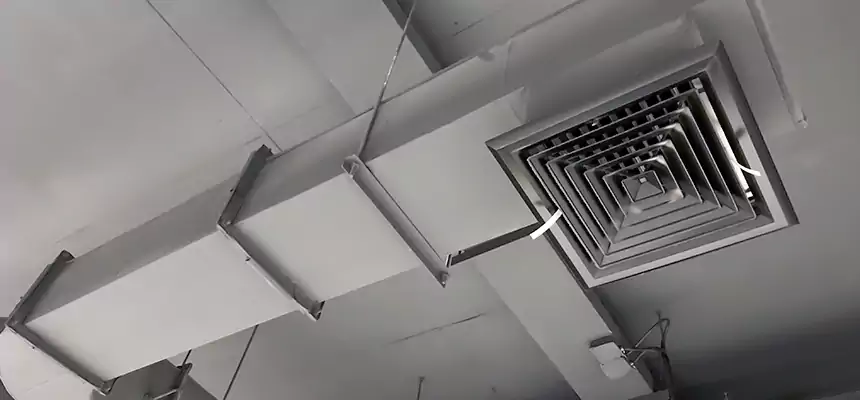 Our Pest Removal From Ducts Services in Graham, WA