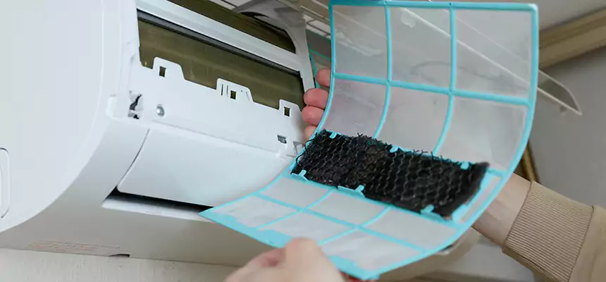 Gentle Ductwork Odor-Control Pet Dander Duct Cleaning in Graham, WA