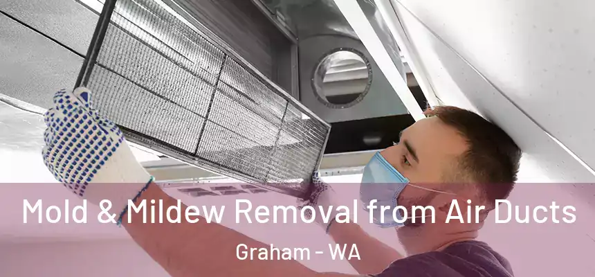 Mold & Mildew Removal from Air Ducts Graham - WA