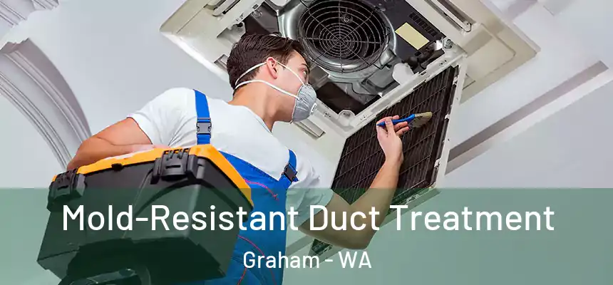 Mold-Resistant Duct Treatment Graham - WA