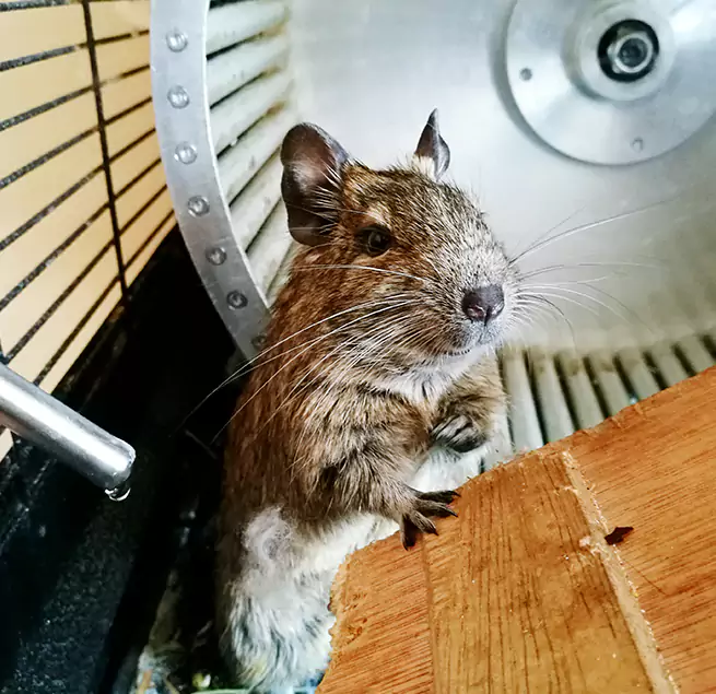 Why Homeowners & Businesses Trust Us Graham, WA?