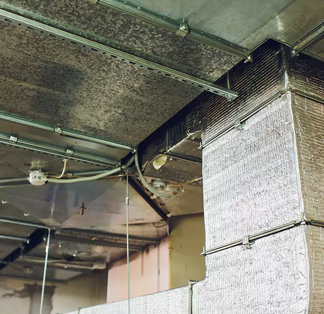 Why Homeowners & Businesses Trust Us in Graham, WA?